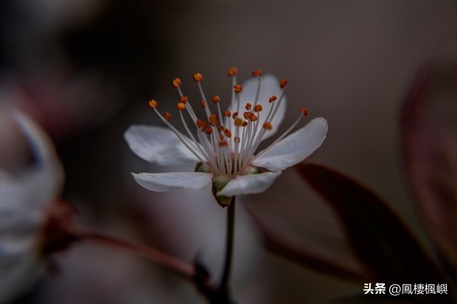 微信明星黑料,_追剧黑料敲诈案件_网络舆情敲诈