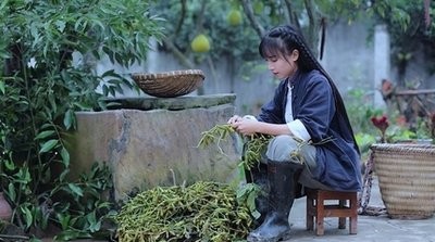 抖音网红痞幼黑料照片,_短视频发展历程_短视频网红案例分析